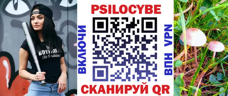 где купить наркотик  Гатчина  кракен онион  Галлюциногенные грибы Magic Shrooms 
