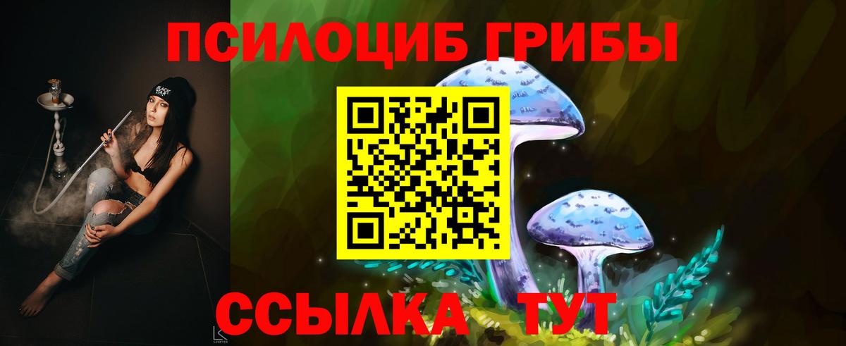Галлюциногенные грибы GOLDEN TEACHER Гатчина