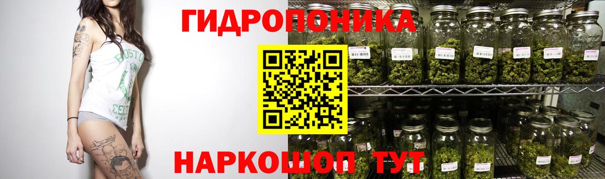 Бошки Шишки THC 21%  Вход с VPN  Бошки марихуана индика  Марихуана сатива  Канабис AK-47  Гатчина 